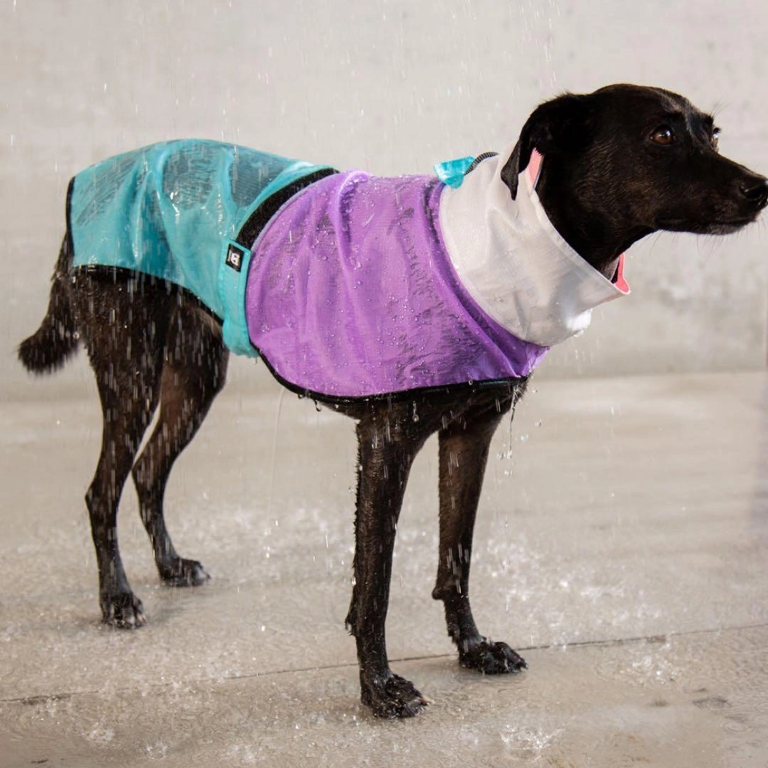 zee.dog BEL-AIR RAINCOAT S ベルエア レインコートSの写真9枚目