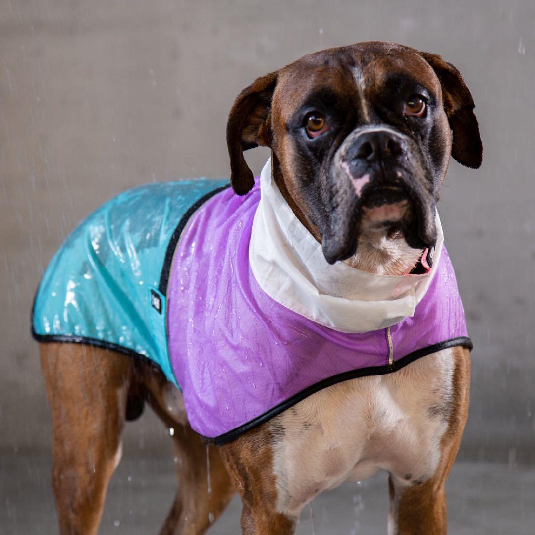 zee.dog BEL-AIR RAINCOAT S ベルエア レインコートSの写真10枚目