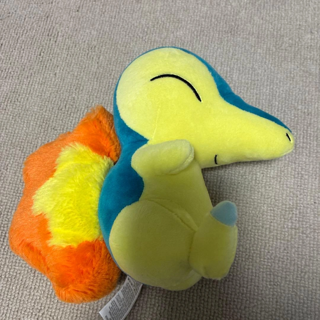 ★ポケモン★ヒノアラシ ぬいぐるみ 約15cmの写真3枚目