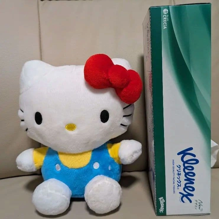 【非売品】ハローキティ ぬいぐるみ 約20cm×15cm サンリオの写真4枚目