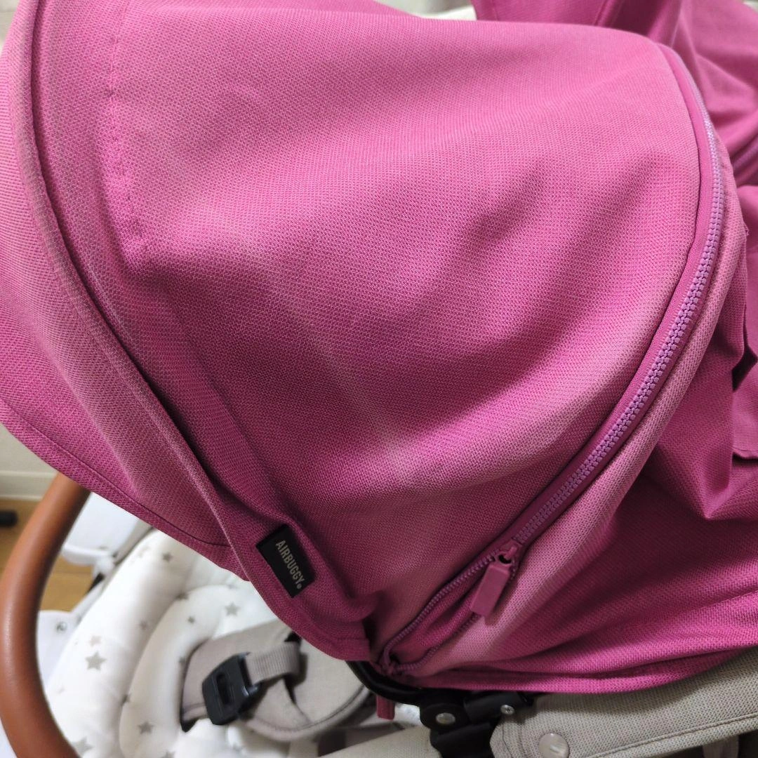 エアバギー ココダブル EX フロムバース ピンクの写真4枚目