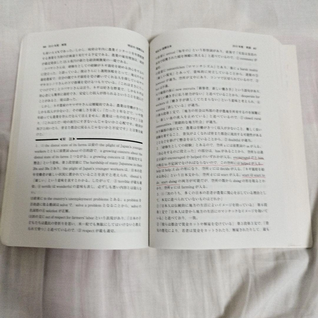 明治大学国際日本学部の写真3枚目