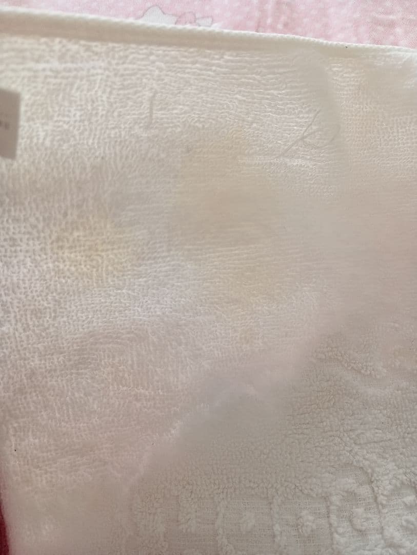 Häagen-Dazs ハーゲンダッツ ミニタオル　非売品　レア　シミありの写真3枚目
