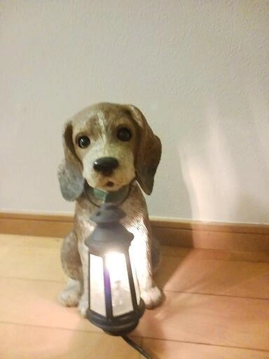 愛犬家必見!ビーグルランプの写真2枚目