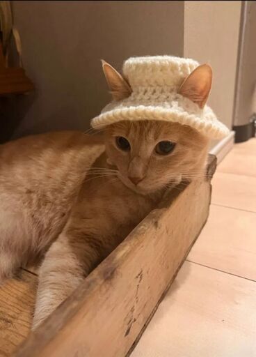 猫用ハット ハンドメイド かぎ針編み クリーム色 あご紐付きの写真3枚目