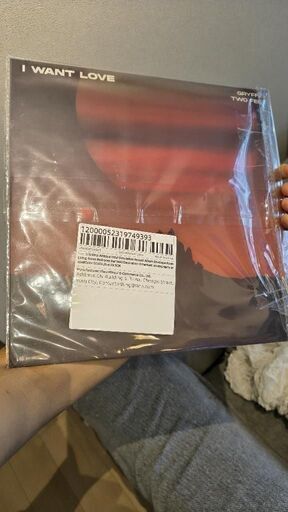 12インチ LPレコード 2枚セット 壁掛けアートパネル インテリアディスプレイの写真4枚目
