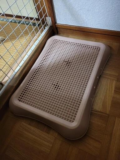 トイレトレイ2つ わんこの写真3枚目
