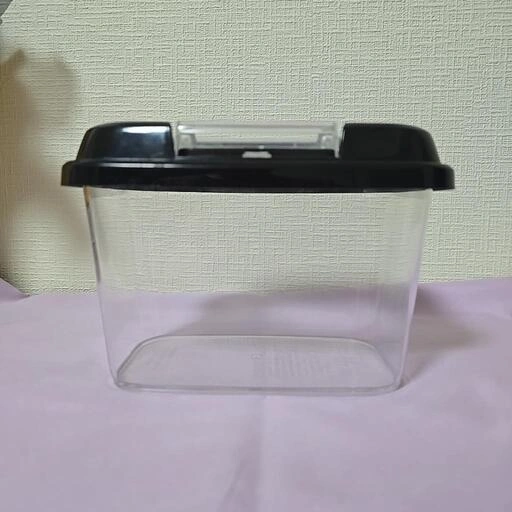 虫かご 虫カゴの写真3枚目
