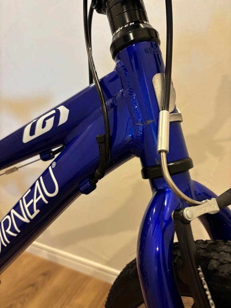 ルイガノ J20 20インチ自転車の写真2枚目