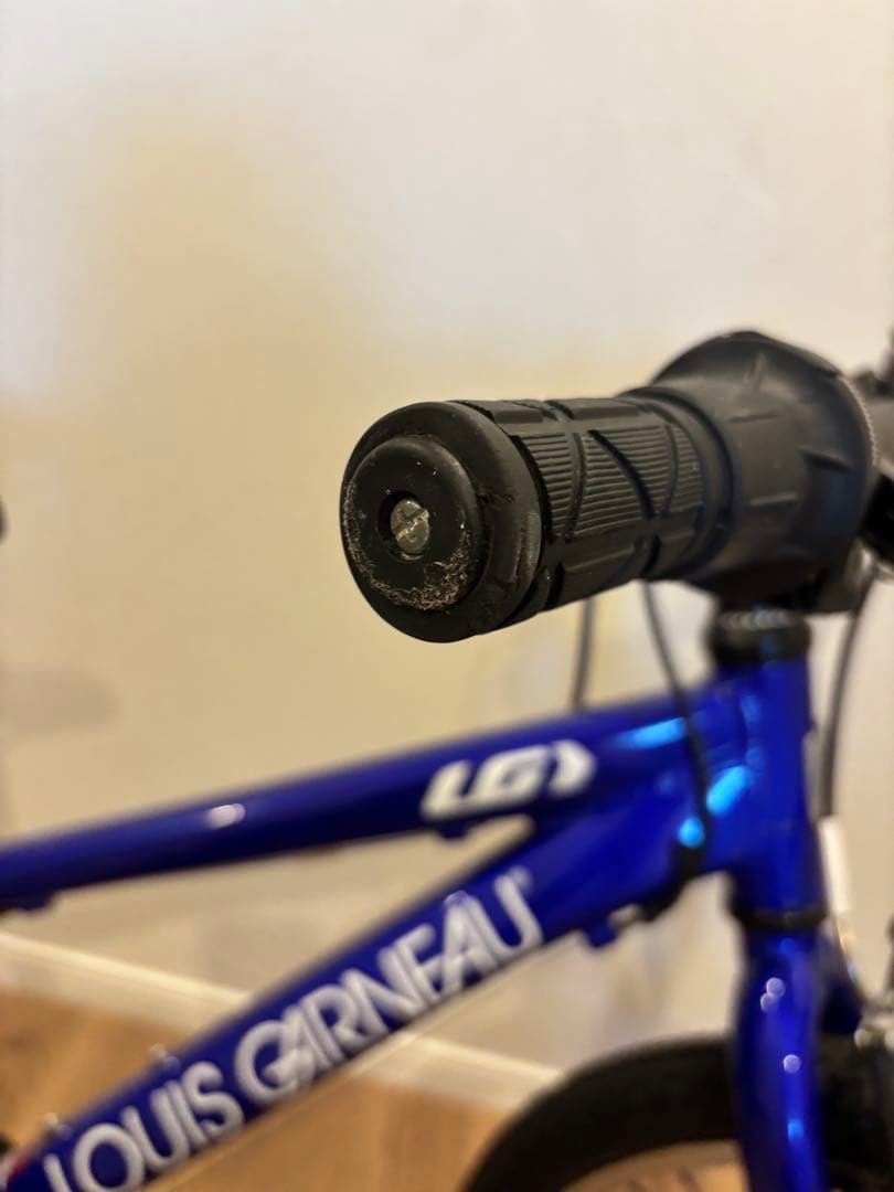 ルイガノ　J20 20インチ自転車の写真4枚目