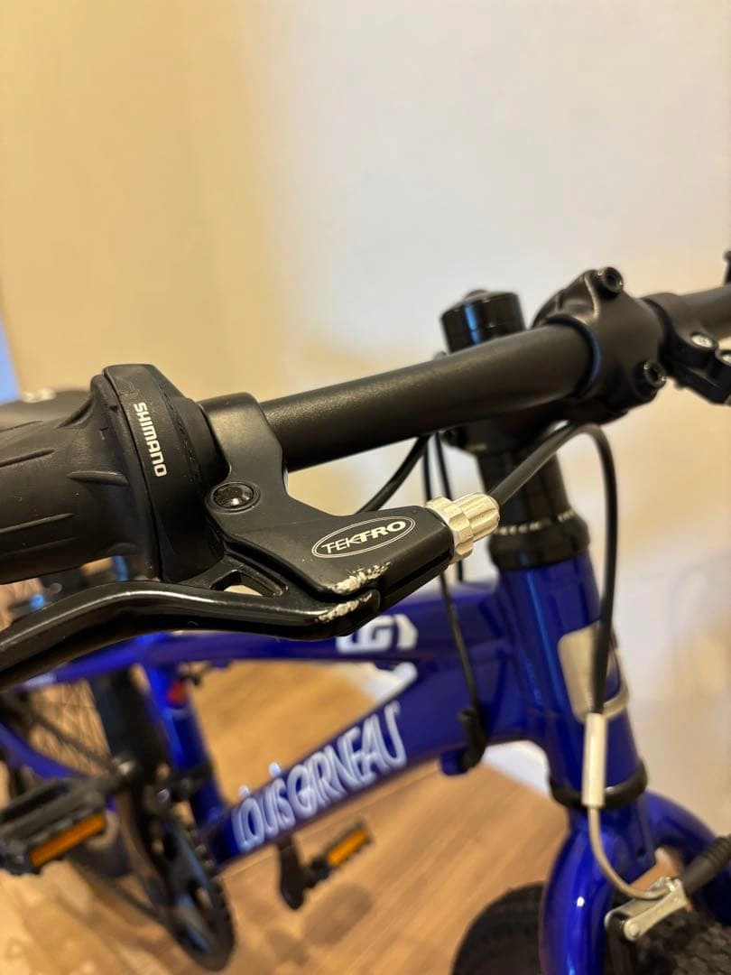 ルイガノ J20 20インチ自転車の写真8枚目