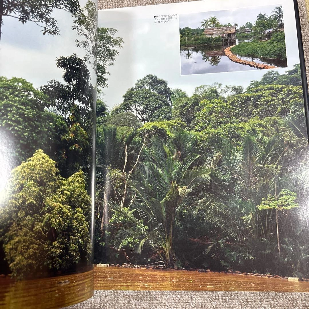 世界の森大図鑑 = WORLD FOREST : 耳をすませ、地球の声にの写真3枚目