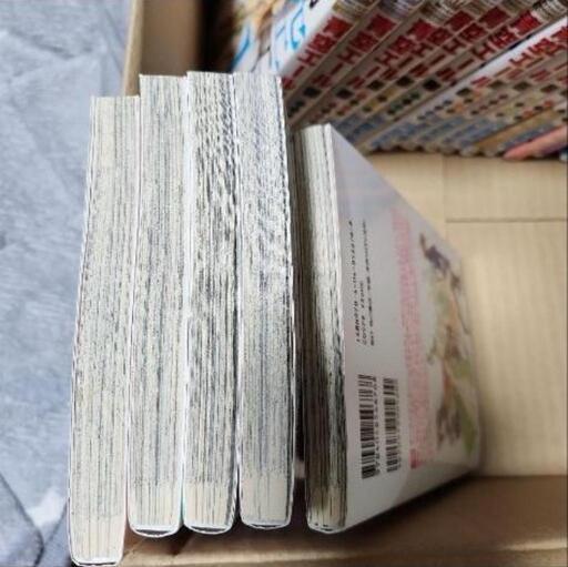 身代わりの伯爵の冒険 1-5巻セットの写真2枚目