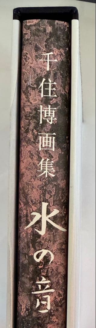 千住博 画集 水の音