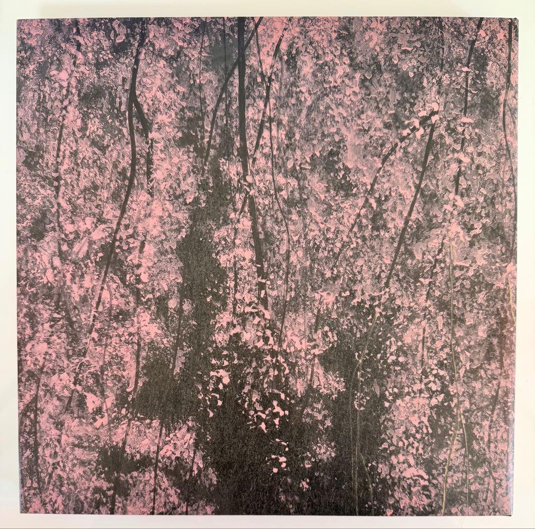 千住博 画集 水の音の写真2枚目