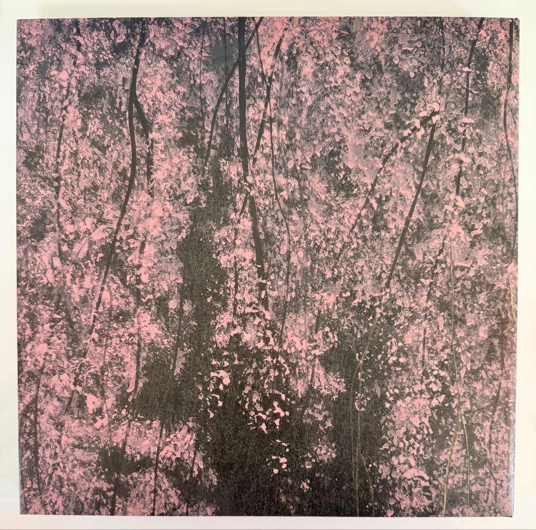 千住博 画集 水の音の写真2枚目