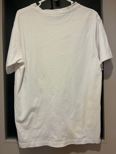 Champion チャンピオン 白Tシャツ L 終売品の写真2枚目