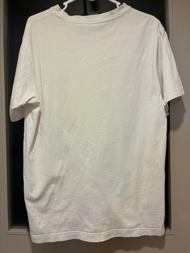 Champion チャンピオン 白Tシャツ L 終売品の写真2枚目