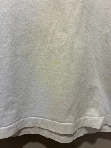 Champion チャンピオン 白Tシャツ L 終売品の写真4枚目