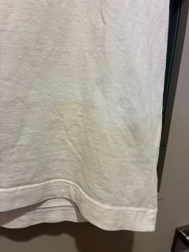 Champion チャンピオン 白Tシャツ L 終売品の写真5枚目