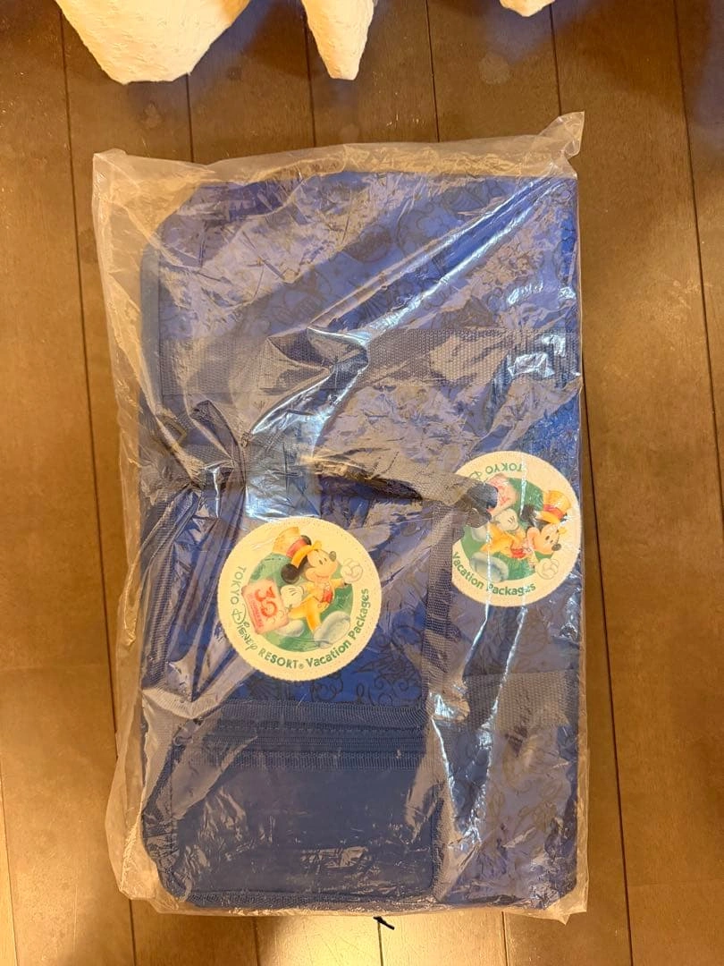 ディズニー バケーションパッケージ クッション付きバッグ