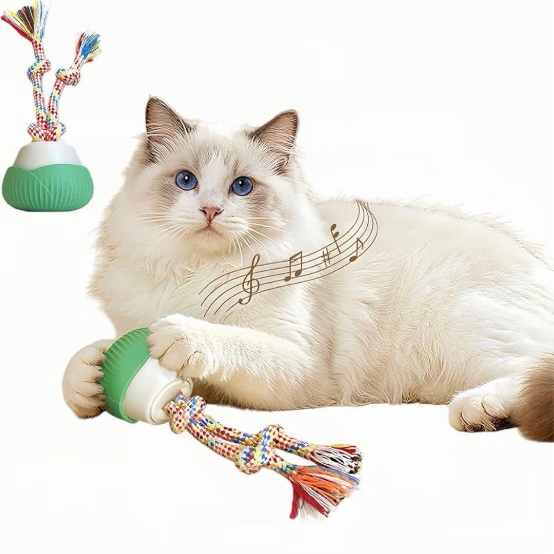 ROTATING BALL 電動猫用おもちゃ