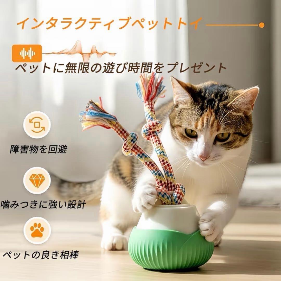 ROTATING BALL 電動猫用おもちゃの写真2枚目