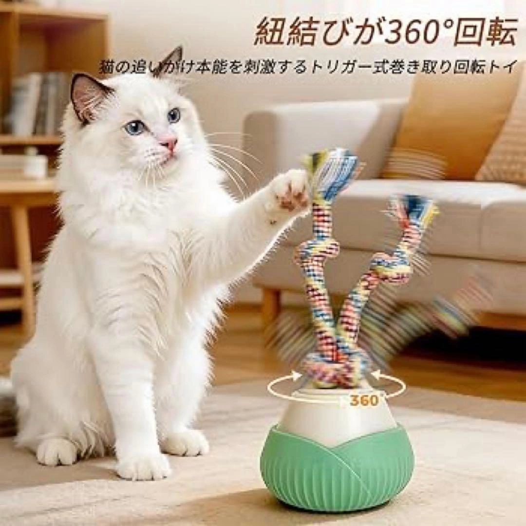ROTATING BALL 電動猫用おもちゃの写真3枚目