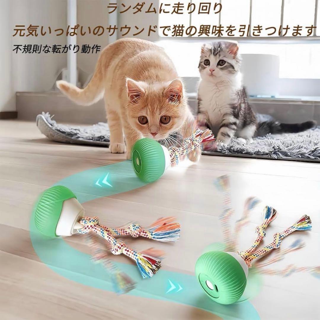 ROTATING BALL 電動猫用おもちゃの写真4枚目