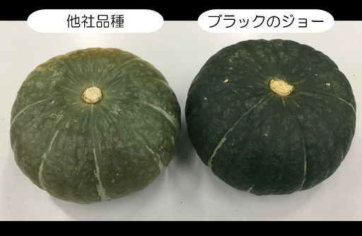 かぼちゃ(ブラックのジョー)✴︎ブラックサンダーの写真3枚目