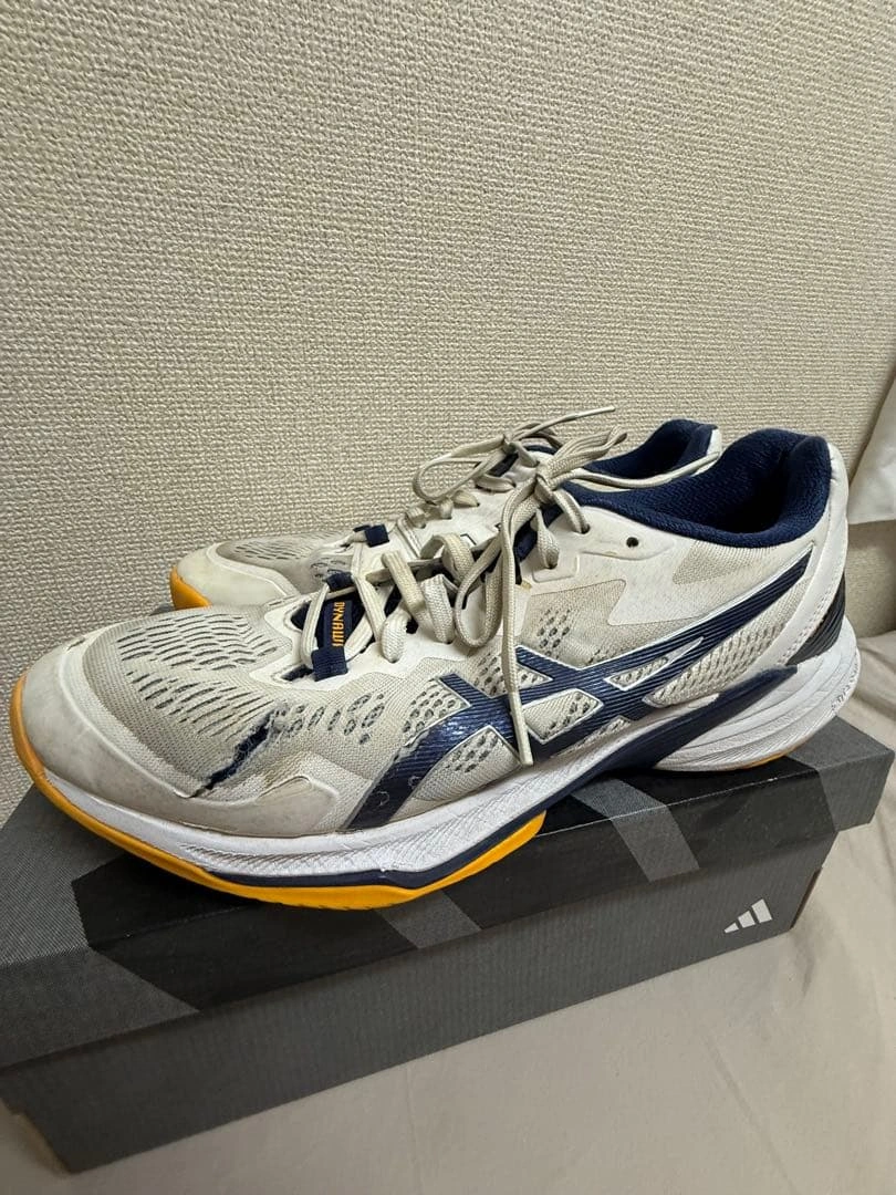 アシックス スカイエリート FF 28.5cm ※シューズのみの写真2枚目