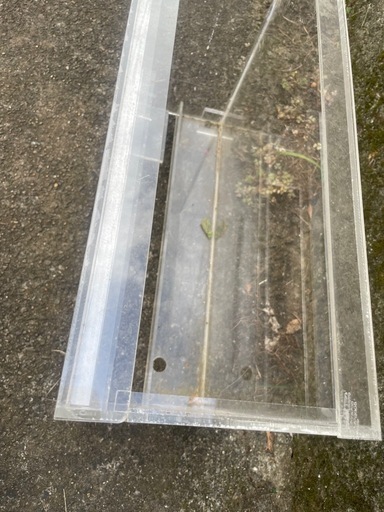 無料　アクリルケース　爬虫類の写真2枚目