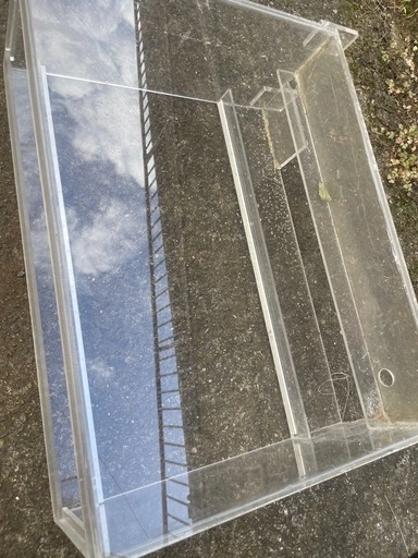 無料 アクリルケース 爬虫類の写真4枚目