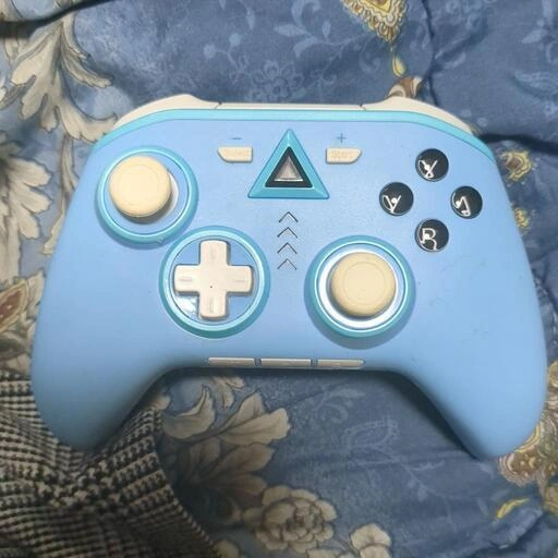 Switchコントローラーの写真3枚目