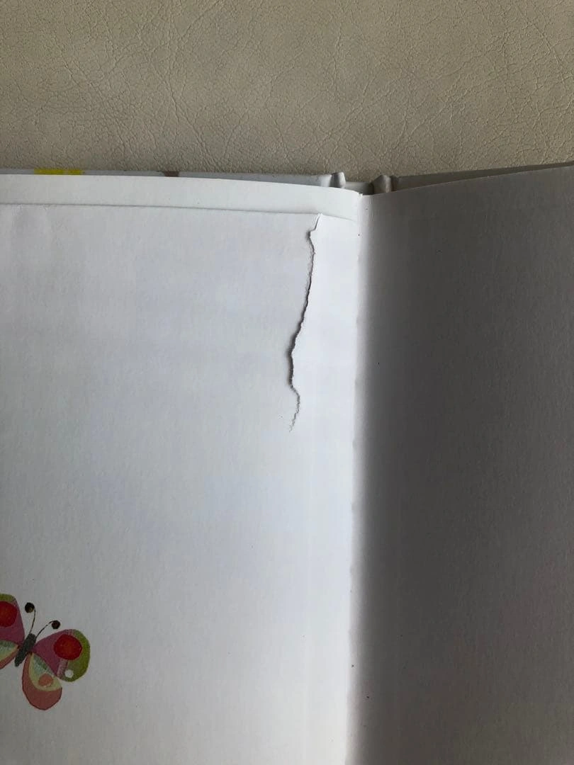 おひさまとかくれんぼの写真3枚目