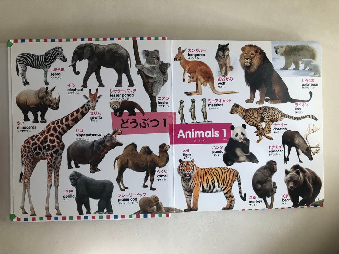 はじめてずかん 415 英語つき 2冊セットの写真6枚目