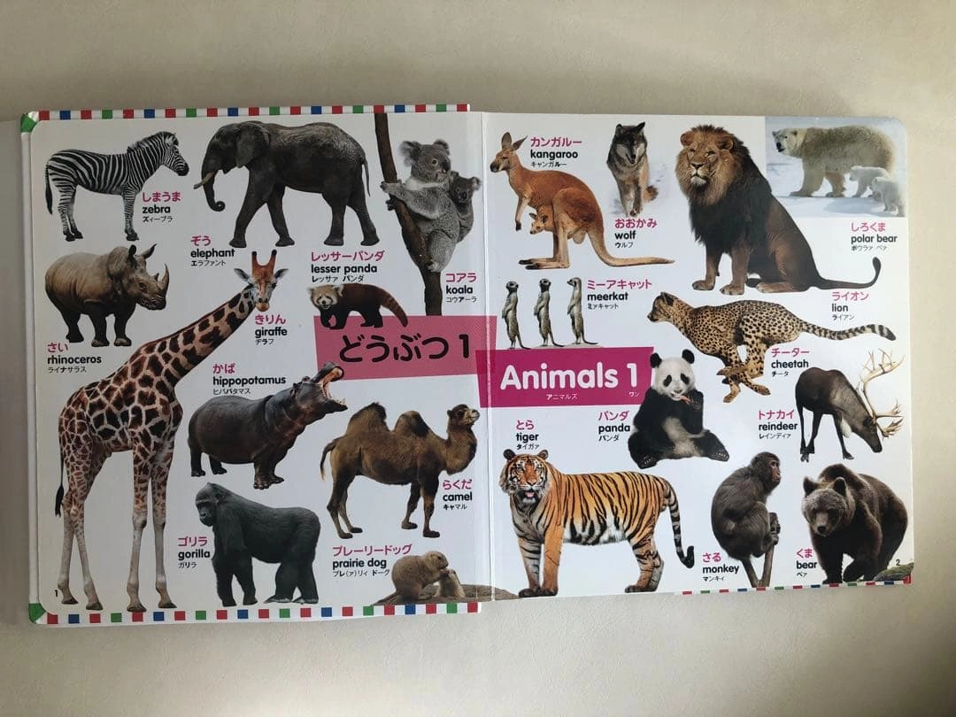 はじめてずかん 415 英語つき 2冊セットの写真6枚目