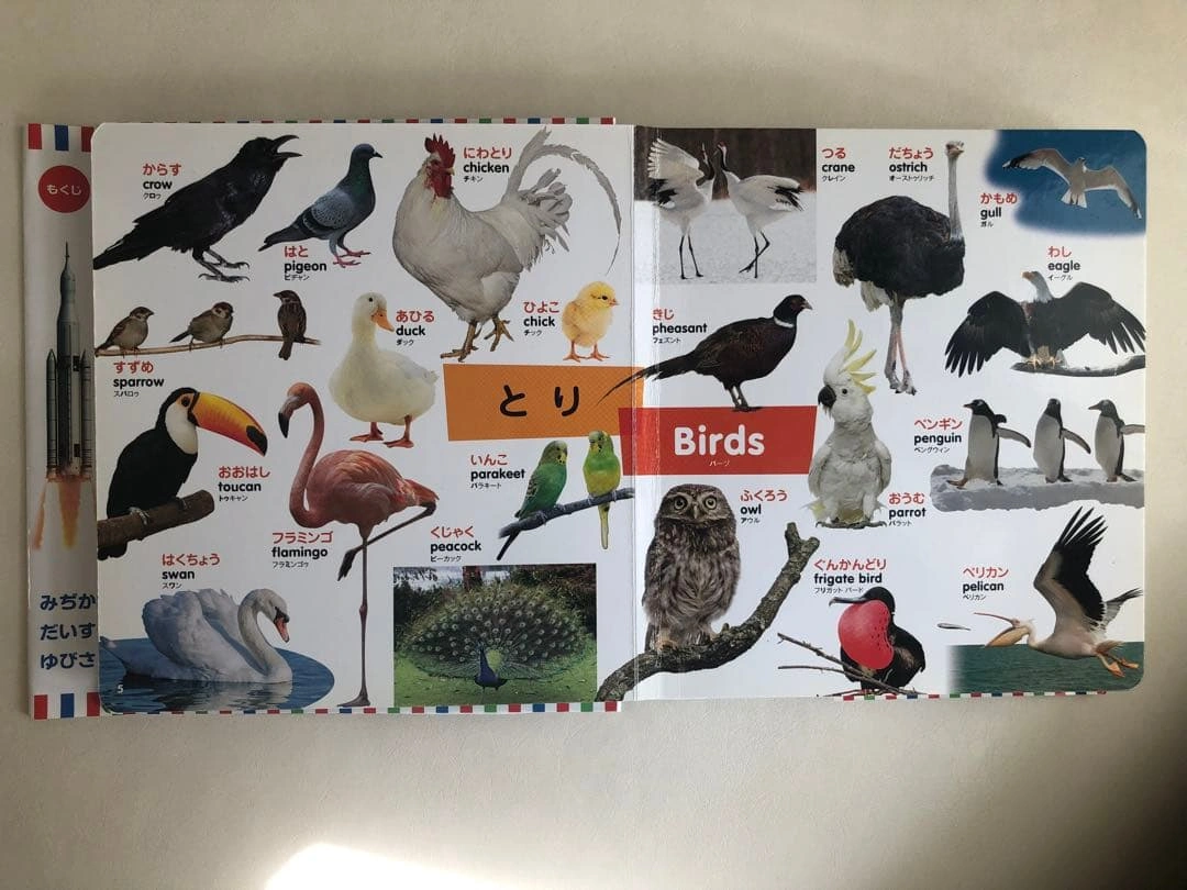 はじめてずかん 415 英語つき 2冊セットの写真9枚目