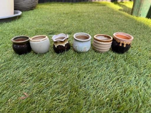 多肉植物、サボテン用ミニ鉢の写真4枚目