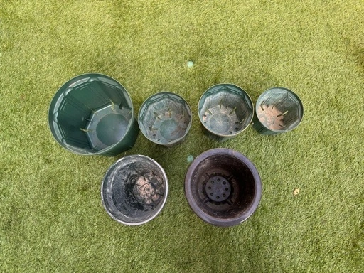 プラ鉢の写真2枚目