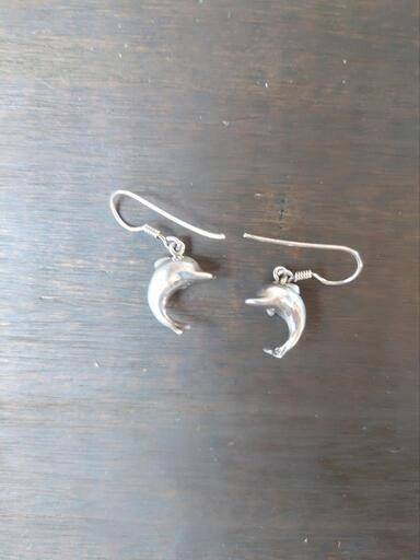 ⑦ドルフィン ピアス シルバーの写真2枚目