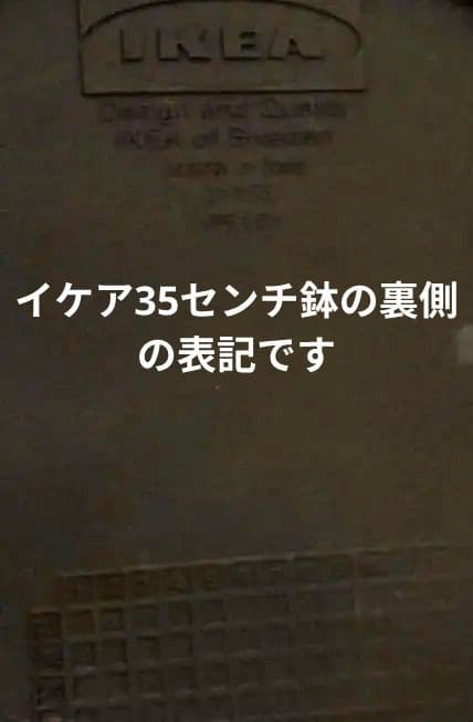 IKEA FEJKA フェイカ ケンチャヤシ フェイクグリーン 鉢カバー付の写真5枚目