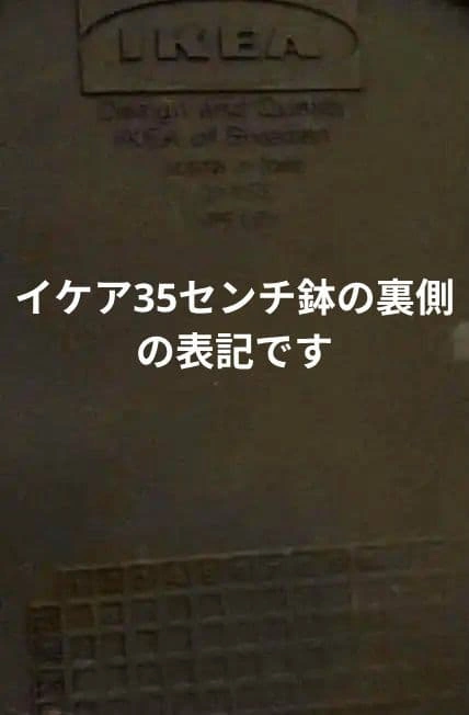 IKEA FEJKA フェイカ ケンチャヤシ フェイクグリーン 鉢カバー付の写真5枚目