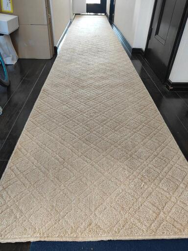廊下カーペット　約550x85cm