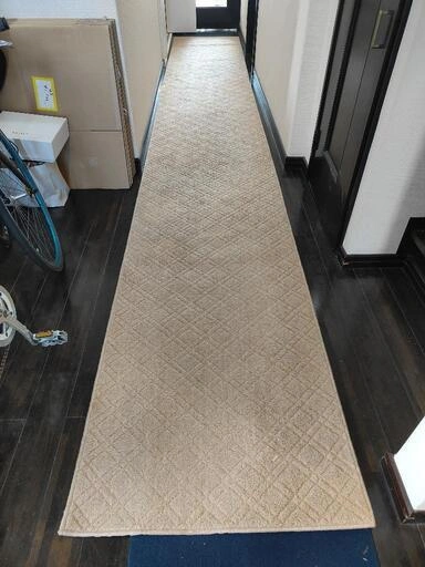 廊下カーペット 約550x85cmの写真2枚目