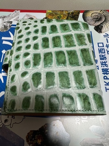 BRIT HOUSE ブリットハウス 本革 二つ折り財布 クロコ型押し 緑の写真2枚目