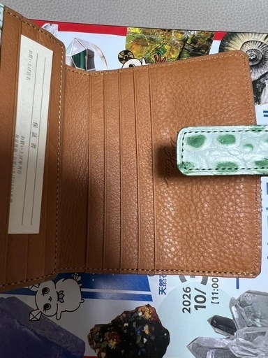 BRIT HOUSE ブリットハウス 本革 二つ折り財布 クロコ型押し 緑の写真4枚目