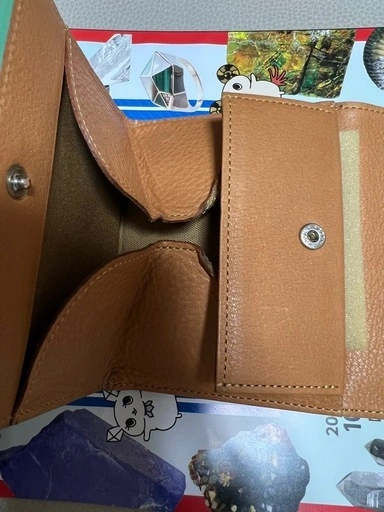 BRIT HOUSE ブリットハウス 本革 二つ折り財布 クロコ型押し 緑の写真5枚目