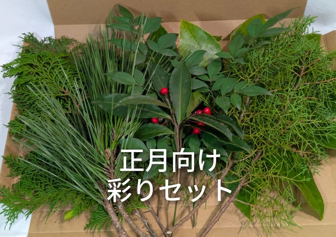お正月飾り ヤツデ 南天 ビャクシン 檜 松 万両 6種セット