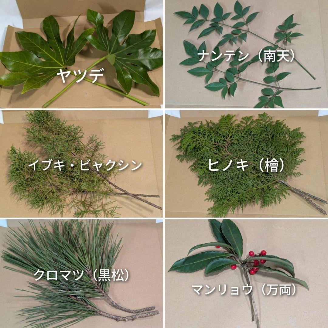 お正月飾り ヤツデ 南天 ビャクシン 檜 松 万両 6種セットの写真2枚目